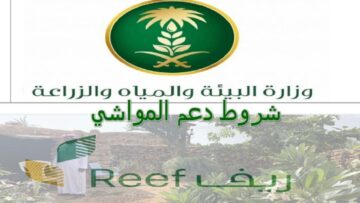 كيفية التقديم على دعم المواشي والشروط اللازمة 1445