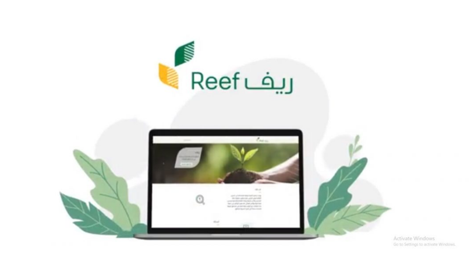توضيح هام من برنامج ريف بشأن نتائج الأهلية وشروط القبول والاستحقاق للمستفيدين الجدد 5 توضيح هام من برنامج ريف بشأن نتائج الأهلية وشروط القبول والاستحقاق للمستفيدين الجدد