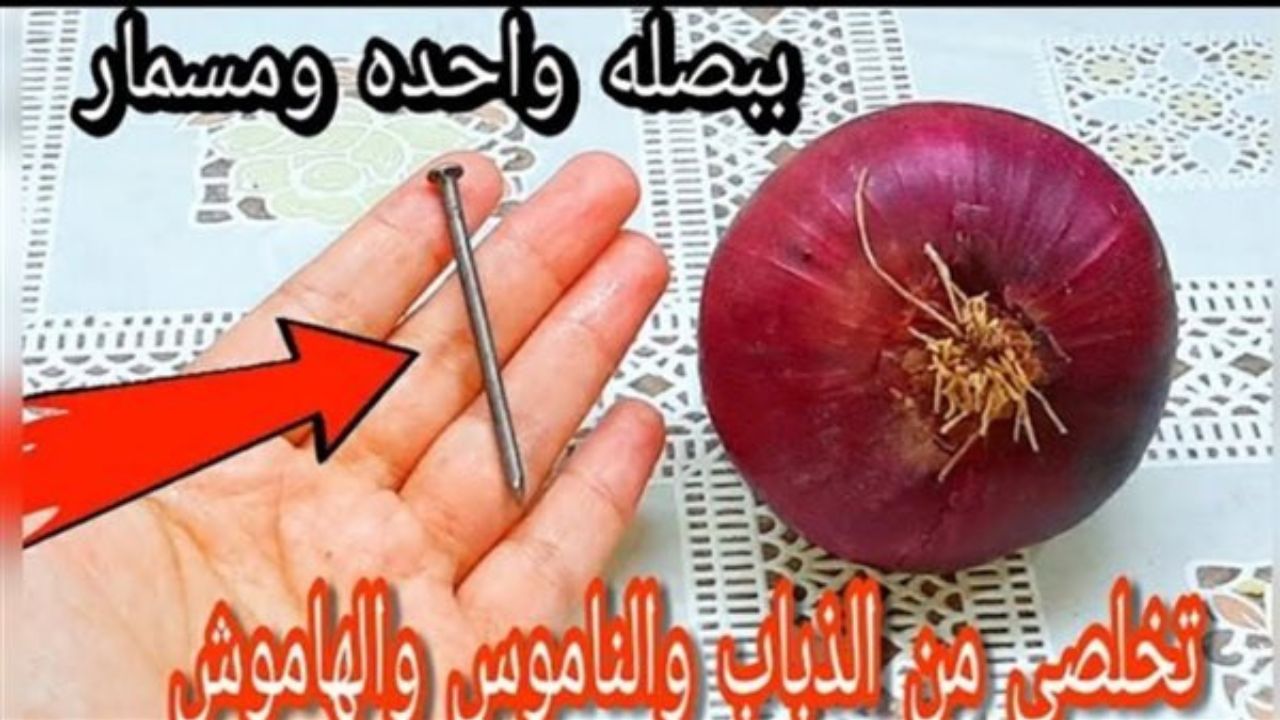 بصلة ومسمار للتخلص من الحشرات وصفة مش هتيجي على بالك 5 بصلة ومسمار للتخلص من الحشرات وصفة مش هتيجي على بالك