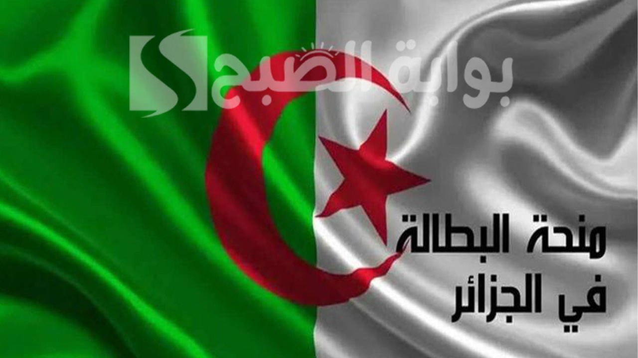 شروط تجديد منحة البطالة في الجزائر 2024 وخطوات التسجيل 5 شروط تجديد منحة البطالة في الجزائر 2024 وخطوات التسجيل