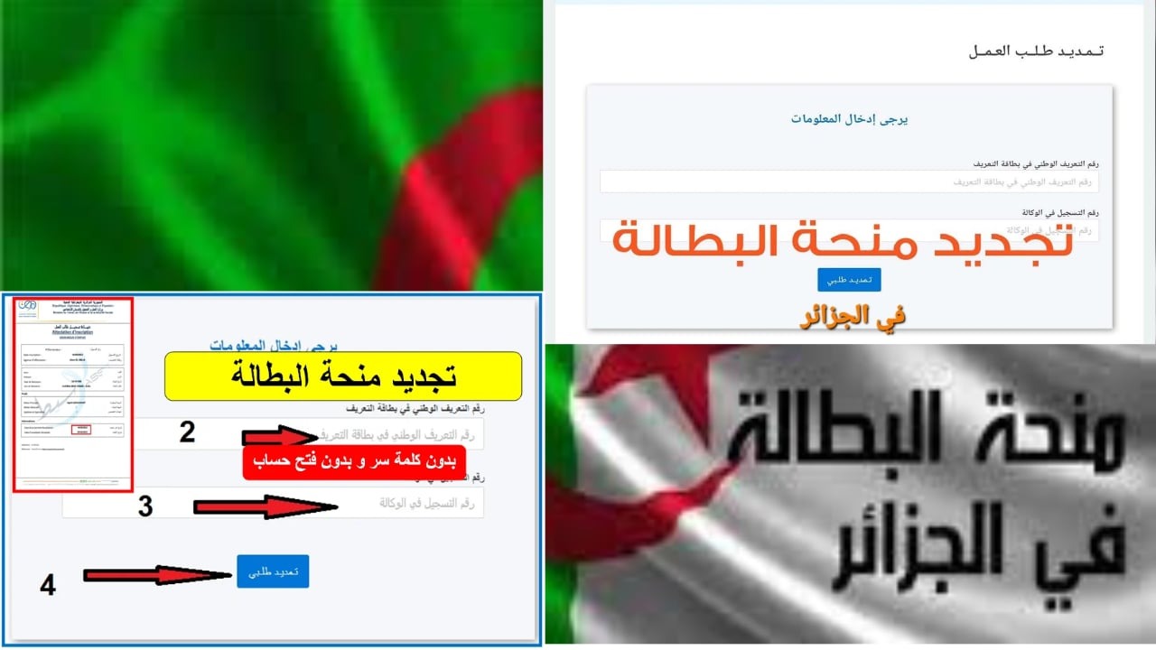 خطوات تجديد منحة البطالة كل 6 أشهر عبر الموقع الرسمي anem.dz