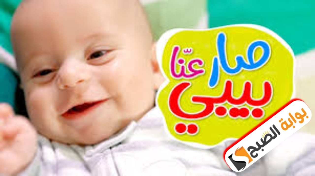 “ثبت الآن”تردد قناة طيور بيبي الجديد 2024 متعة الإعلام الهادف