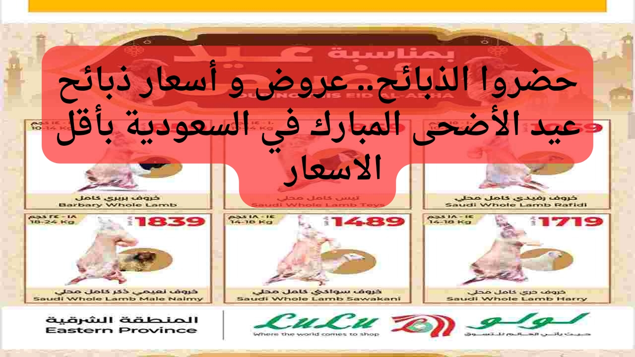 حضروا الذبائح... عروض وأسعار ذبائح عيد الأضحى المبارك في السعودية أقل الاسعار 5 حضروا الذبائح… عروض وأسعار ذبائح عيد الأضحى المبارك في السعودية أقل الاسعار