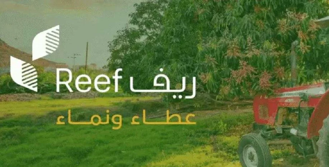 خطوات التسجيل في دعم ريف لعام 1446 .. " وزارة البيئة والزراعة" توضح| إليك أهم الشروط اللازمة 5 خطوات التسجيل في دعم ريف لعام 1446 .. ” وزارة البيئة والزراعة” توضح| إليك أهم الشروط اللازمة