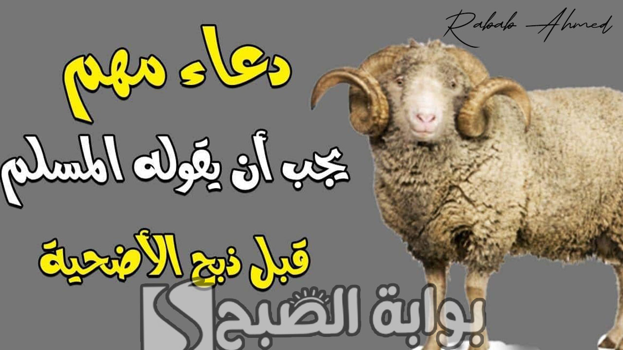 “اللهم تقبل مني ومن أمتك”.. دعاء النحر قبل ذبح الأضاحي وشروط الأضحية الصحيحة