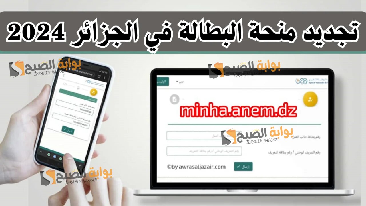رابط تجديد منحة البطالة 2024 أونلاين anem.dz والمستندات المطلوبة