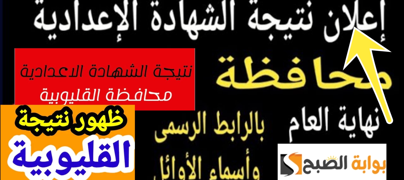 نتيجة الصف الثالث الإعدادي القليوبية 2024 تعرف على درجات المواد الــ 5 في ثواني