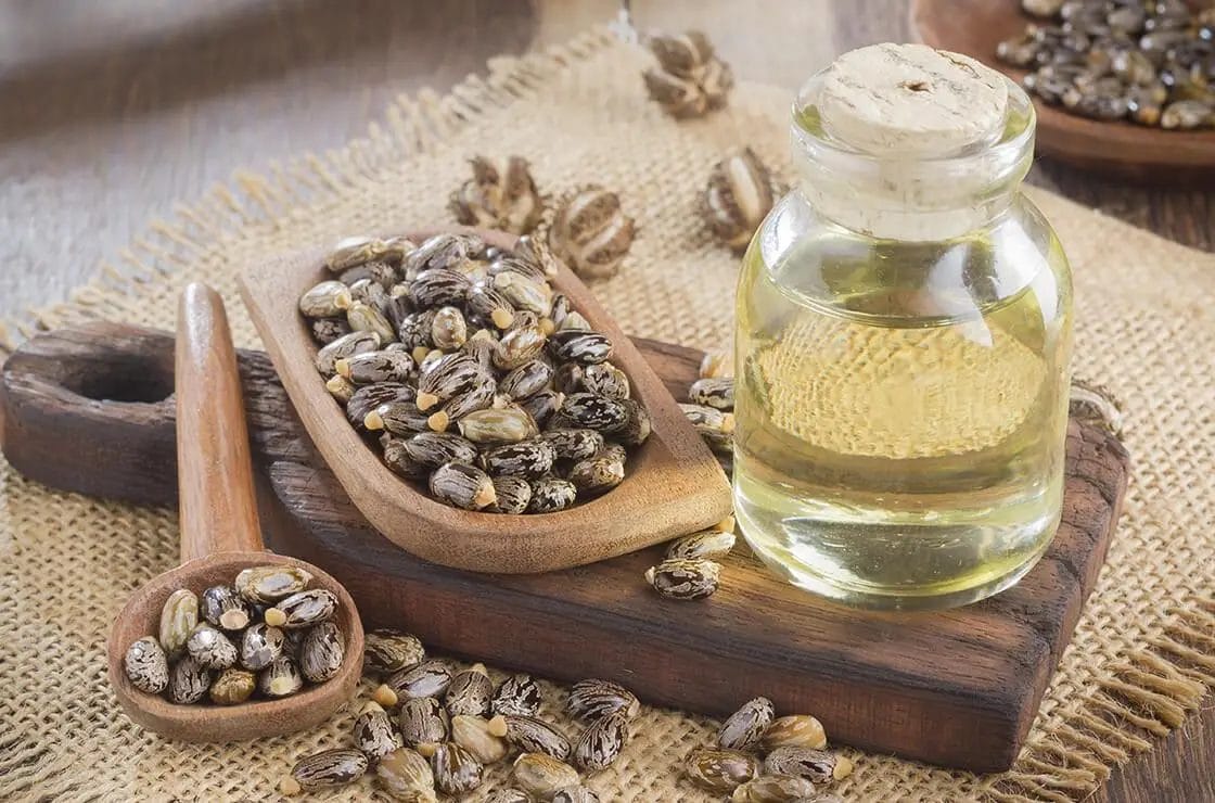 أهم فوائد زيت الخروع..والطريقة الصحيحة لاستخدامه
