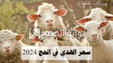 “يبدأ من 1080 ريال سعودي”.. سعر الهدي في الحج 2024 وأسعار صك الأضحية في السعودية