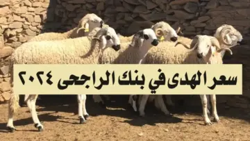 “بمناسبة عيد الأضحى”.. تفاصيل سعر الهدي في بنك الراجحي 2024