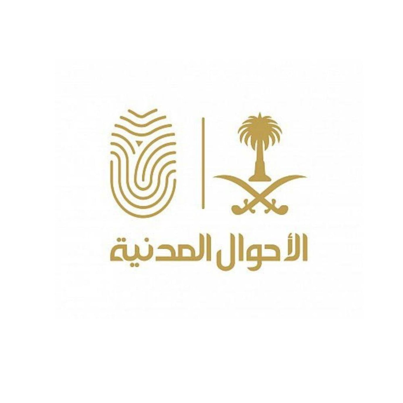 تفاصيل صدور قرار وزاري بفقدان الجنسية السعودية من "أمل بنت عبد العزيز القماح" 5 تفاصيل صدور قرار وزاري بفقدان الجنسية السعودية من “أمل بنت عبد العزيز القماح”
