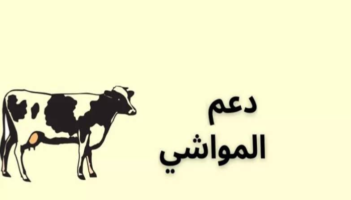 خطوات التسجيل في دعم المواشي الجديدة من ريف لعام 1446..وزارة البيئة والمياه توضح