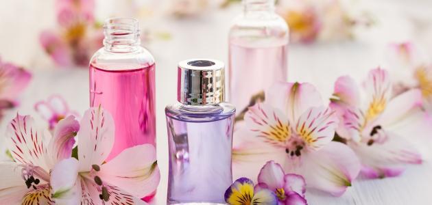 "أبهريهم بريحتك" دلوقتي ممكن تعملي كريم معطر للجسم بأقل تكلفة والكل هيسالك عليه من جمال ريحته 5 “أبهريهم بريحتك” دلوقتي ممكن تعملي كريم معطر للجسم بأقل تكلفة والكل هيسالك عليه من جمال ريحته