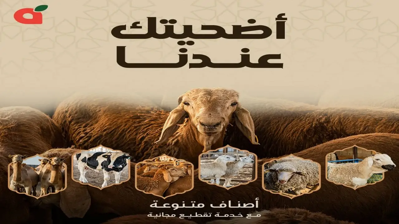 تخفيضات ضخمة.. أقوى عروض بنده لعيد الأضحي 2024 تحت شعار أضحيتك عندنا