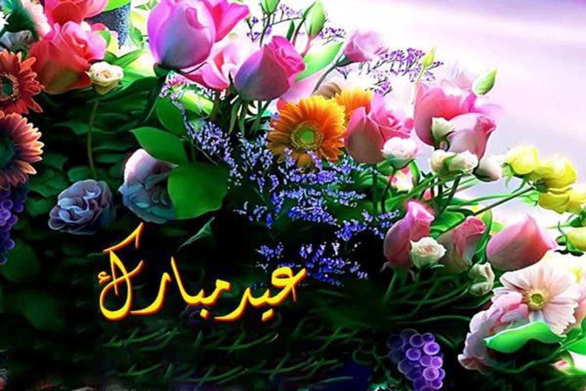 أجمل خلفيات عيد الأضحى 2024 تبحث عنها| وجديد رسائل تهنئة للأهل والأصدقاء 10 أجمل خلفيات عيد الأضحى 2024 تبحث عنها| وجديد رسائل تهنئة للأهل والأصدقاء