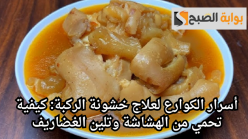 أسرار الكوارع لعلاج خشونة الركبة.. كيفية تحمي من الهشاشة وتلين الغضاريف