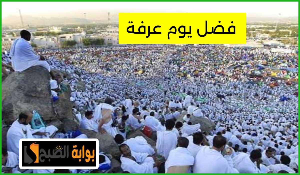 ما هو فضل يوم عرفة ولماذا سمي بهذا الاسم؟.. عالم أزهري يجيب