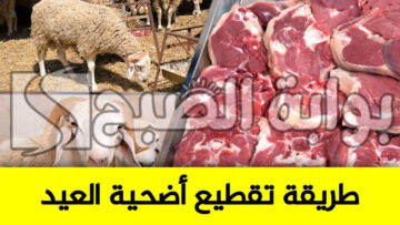 “بالتفصيل”.. كيفية تقطيع الأضحية بالطريقة الصحيحة وطريقة حفظها