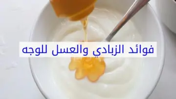 استخدميه وخليكي مميزة.. طريقة عمل ماسك الزبادي والعسل لبشرة أكثر حيوية