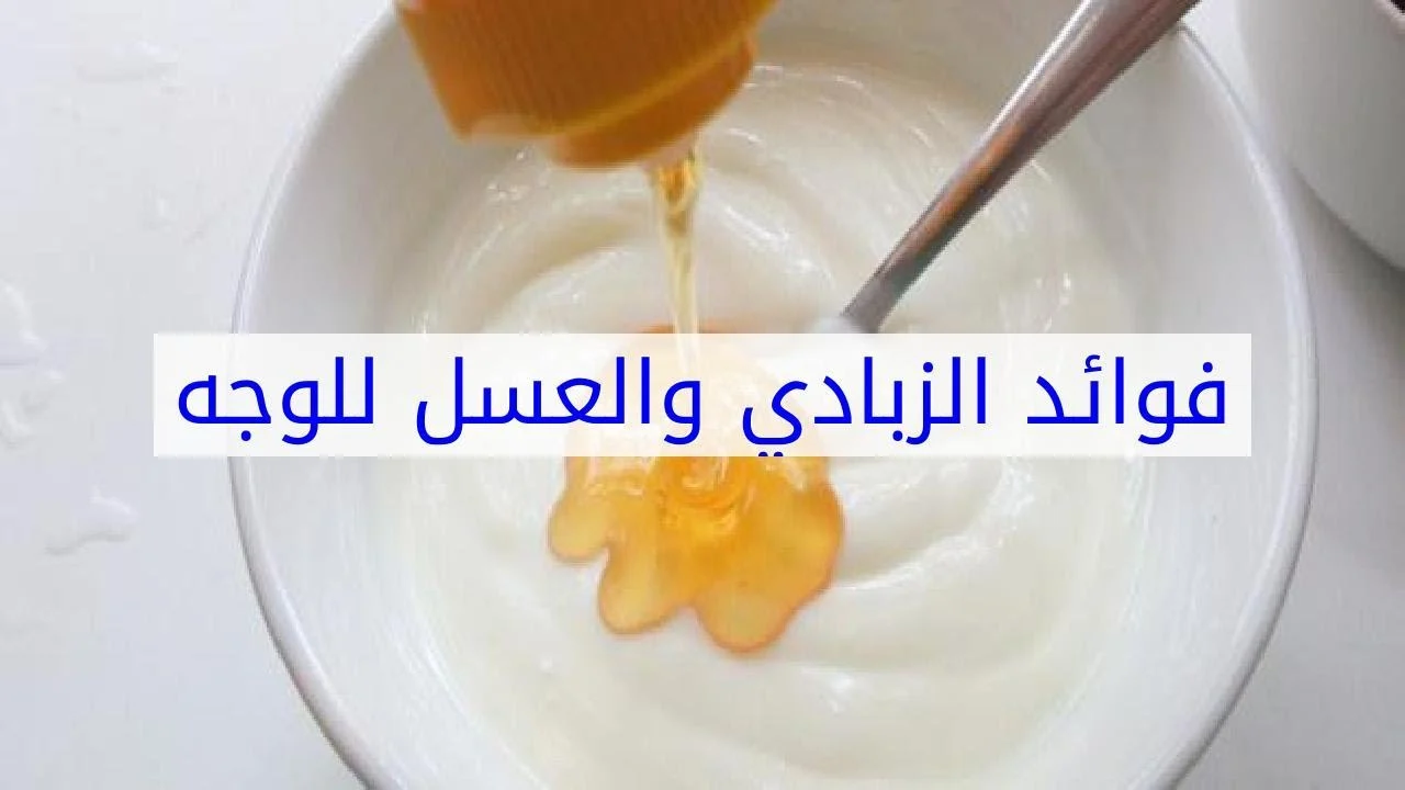 استخدميه وخليكي مميزة.. طريقة عمل ماسك الزبادي والعسل لبشرة أكثر حيوية 5 استخدميه وخليكي مميزة.. طريقة عمل ماسك الزبادي والعسل لبشرة أكثر حيوية