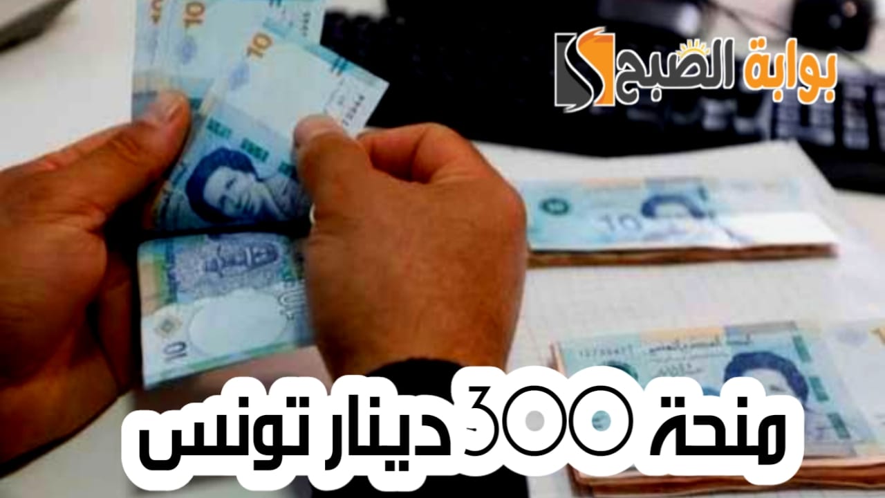 كيفية التسجيل في منحة 300 دينار تونس 2024 والمستندات المطلوبة 5 كيفية التسجيل في منحة 300 دينار تونس 2024 والمستندات المطلوبة