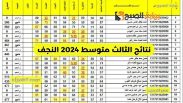 موقع نتائجنا PDF نتائج الثالث متوسط 2024 النجف بغداد البصره كربلاء الكرخ بابل وجميع محافظات العراق
