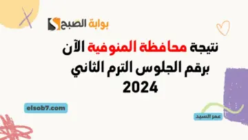 نتيجة الصف الثالث الاعدادي في المنوفية 2024 رابط درجات نتائج الشهادة الاعدادية المنوفيه بالاسم ورقم الجلوس