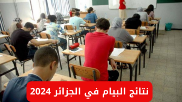 خطوات الاستعلام عن نتائج البيام في الجزائر 2024 عبر bem.onec.dz