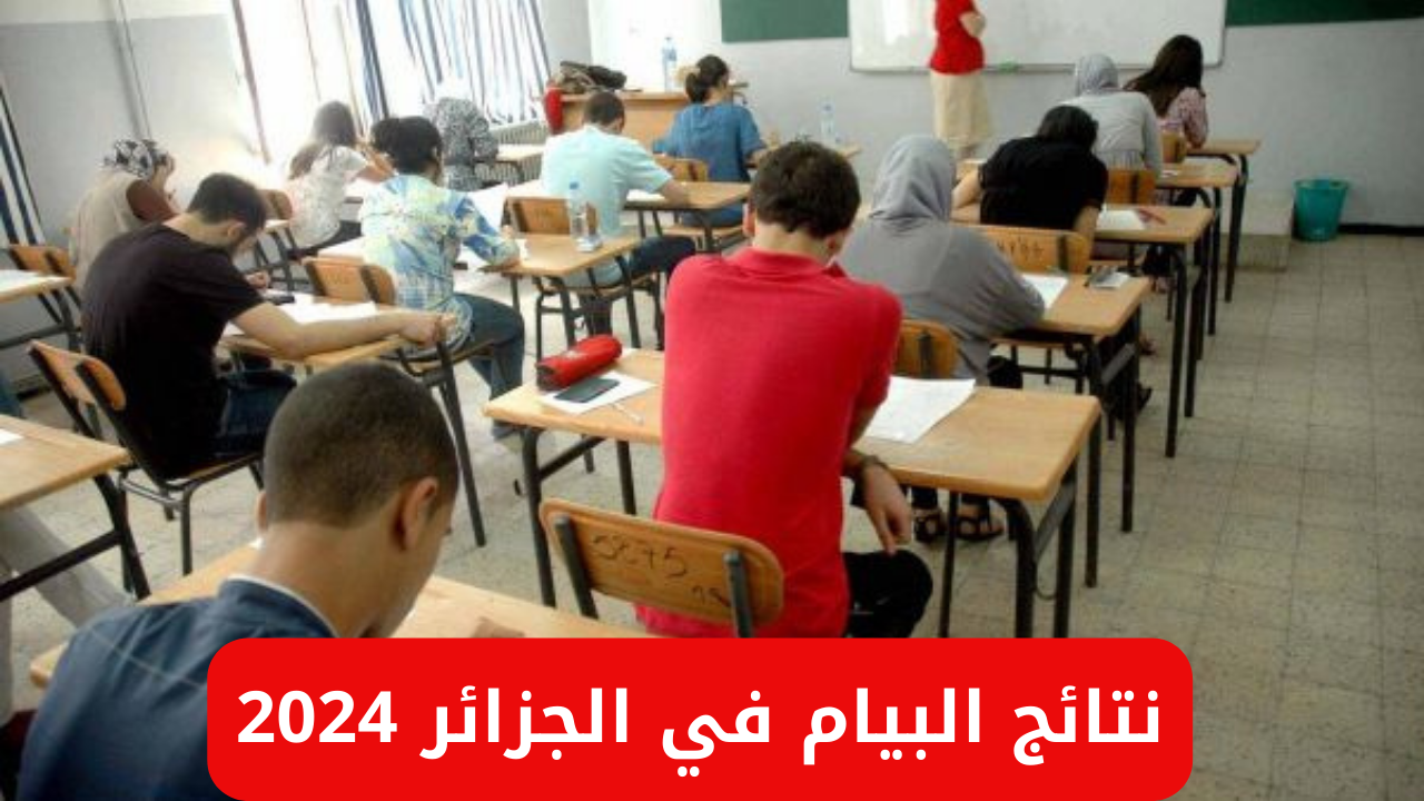 خطوات الاستعلام عن نتائج البيام في الجزائر 2024 عبر bem.onec.dz