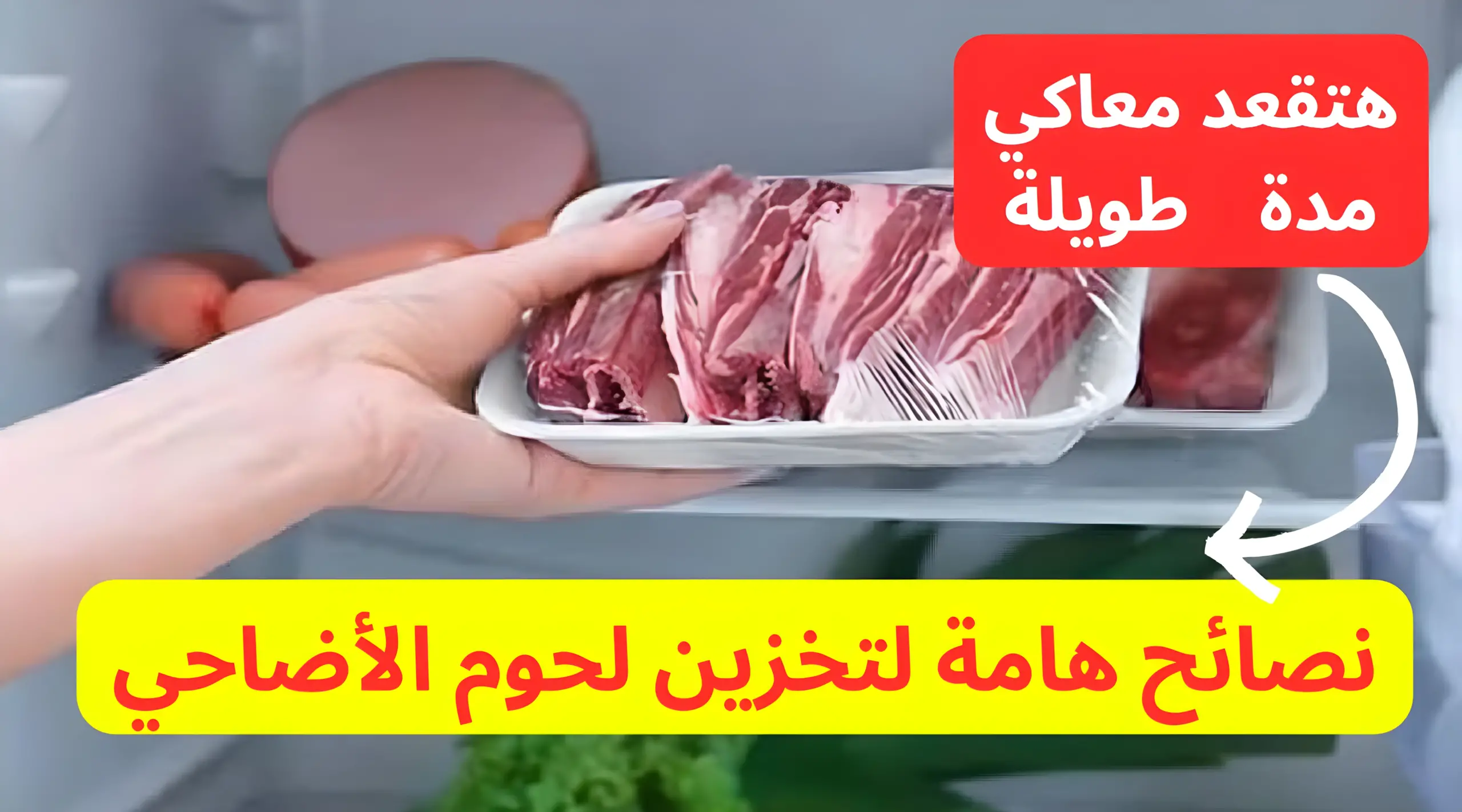 هتقعد معاكي للعيد الجاي.. نصائح هامة لتخزين لحوم الأضاحي بشكل صحي وسليم 5 هتقعد معاكي للعيد الجاي.. نصائح هامة لتخزين لحوم الأضاحي بشكل صحي وسليم