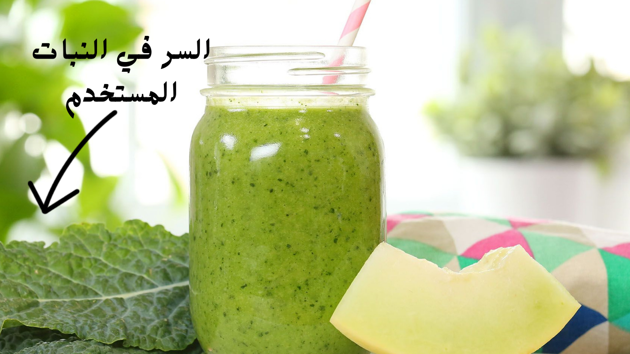 سعره وصل لـ 100جنيه .. ضعي هذا المكون الخلاط الكهربائي واحصلي على صوص النعناع في 10 دقائق ووفري فلوسك 5 سعره وصل لـ 100جنيه .. ضعي هذا المكون الخلاط الكهربائي واحصلي على صوص النعناع في 10 دقائق ووفري فلوسك