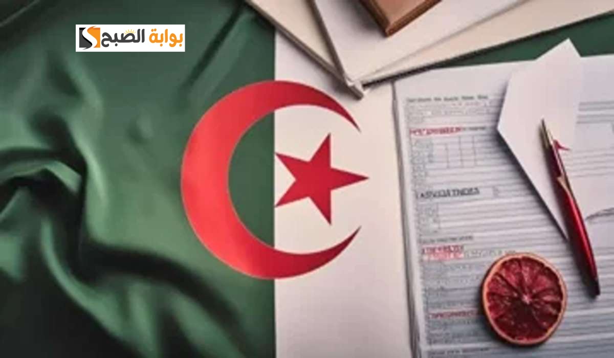 نتائج البكالوريا في الجزائر 2024 عبر رابط موقع الديوان الوطني وفضاء التلميذ