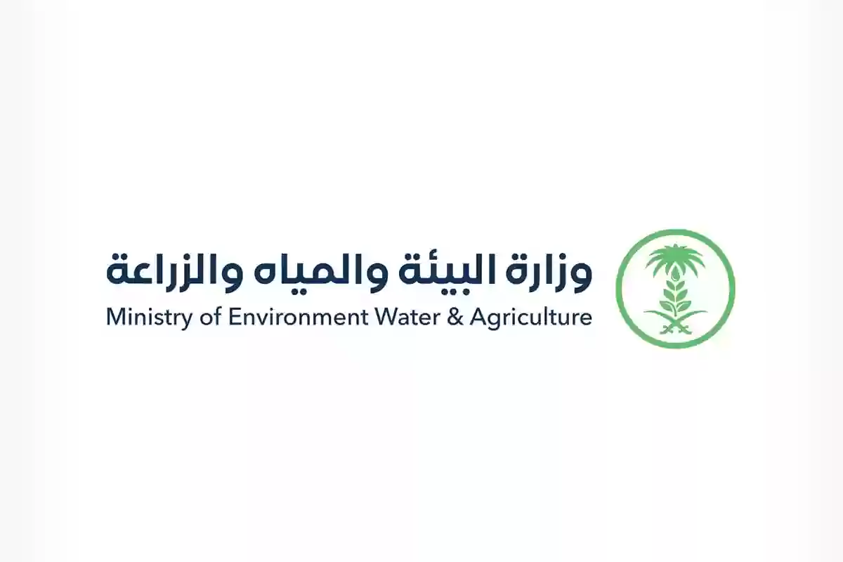 خطوات التقديم على دعم صيدي الأسماك يصل قيمته 50 ألف ريال سعودي وأهم الشروط المطلوبة