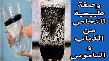 مضمونة وفعالة.. طريقة التخلص من الذباب في المنزل نهائيا.. لن يعود مجدداً