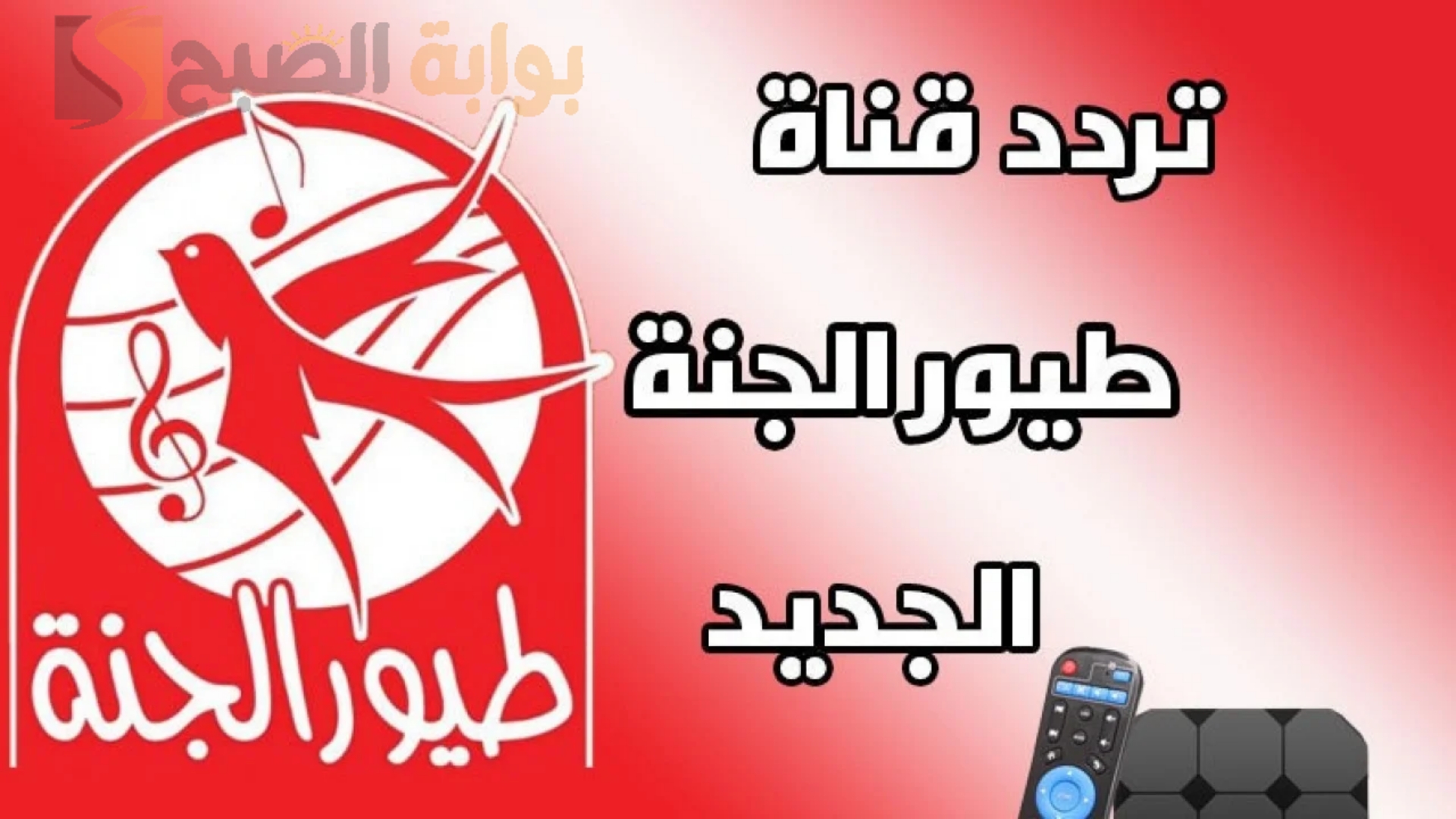 “فرح اولادك”.. نزل الآن تردد قناة طيور الجنة على النايل سات وعرب سات التحديث الأخير 2024