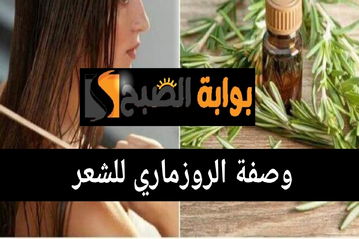 وصفة الروزماري للشعر أقوى زيت طبيعي للتنعيم والتكثيف ومنع التساقط