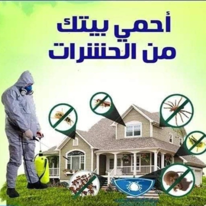 افضل خلطات مكافحة كافة حشرات الصيف المنزليه بأحدث الطرق الطبيعيه