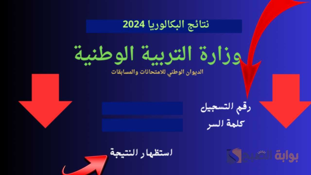 “عاجل” ظهرت نتائج البكالوريا 2024 الجزائر بشكل رسمي Bac onec dz 2024!.. وما هو رابط الاستعلام؟ وزارة التربية الجزائرية توضح