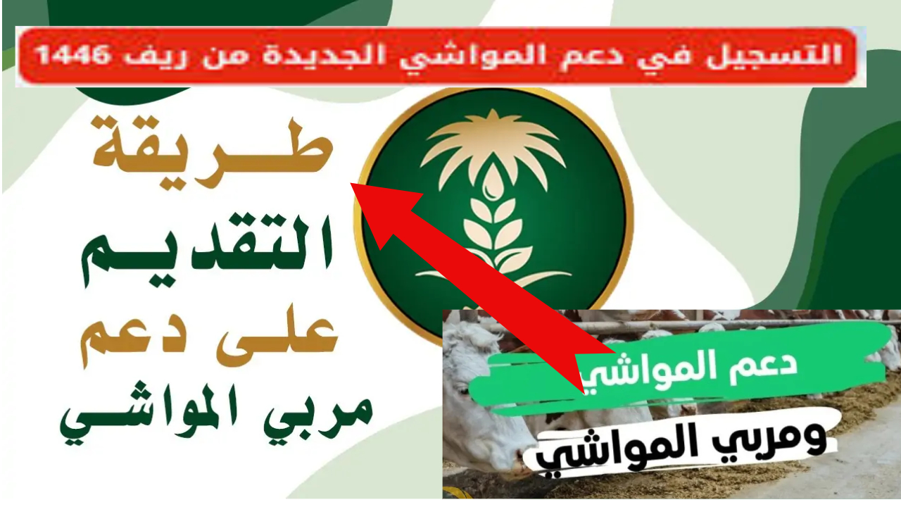 رابط التسجيل في دعم المواشي الجديدة من ريف 1446 وأهم شروط التسجيل وقيمة الدعم الجديد 5 رابط التسجيل في دعم المواشي الجديدة من ريف 1446 وأهم شروط التسجيل وقيمة الدعم الجديد