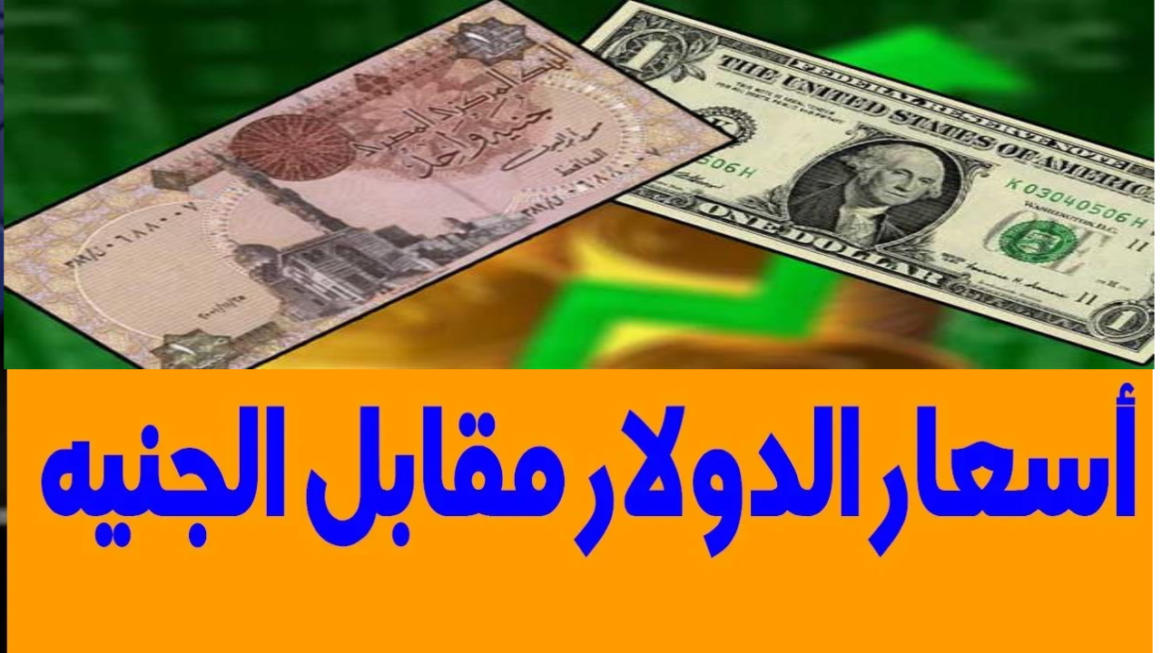 كم سجل سعر الدولار اليوم مقابل الجنيه المصري في البنوك المصرية وتوقعات الفترة القادمة