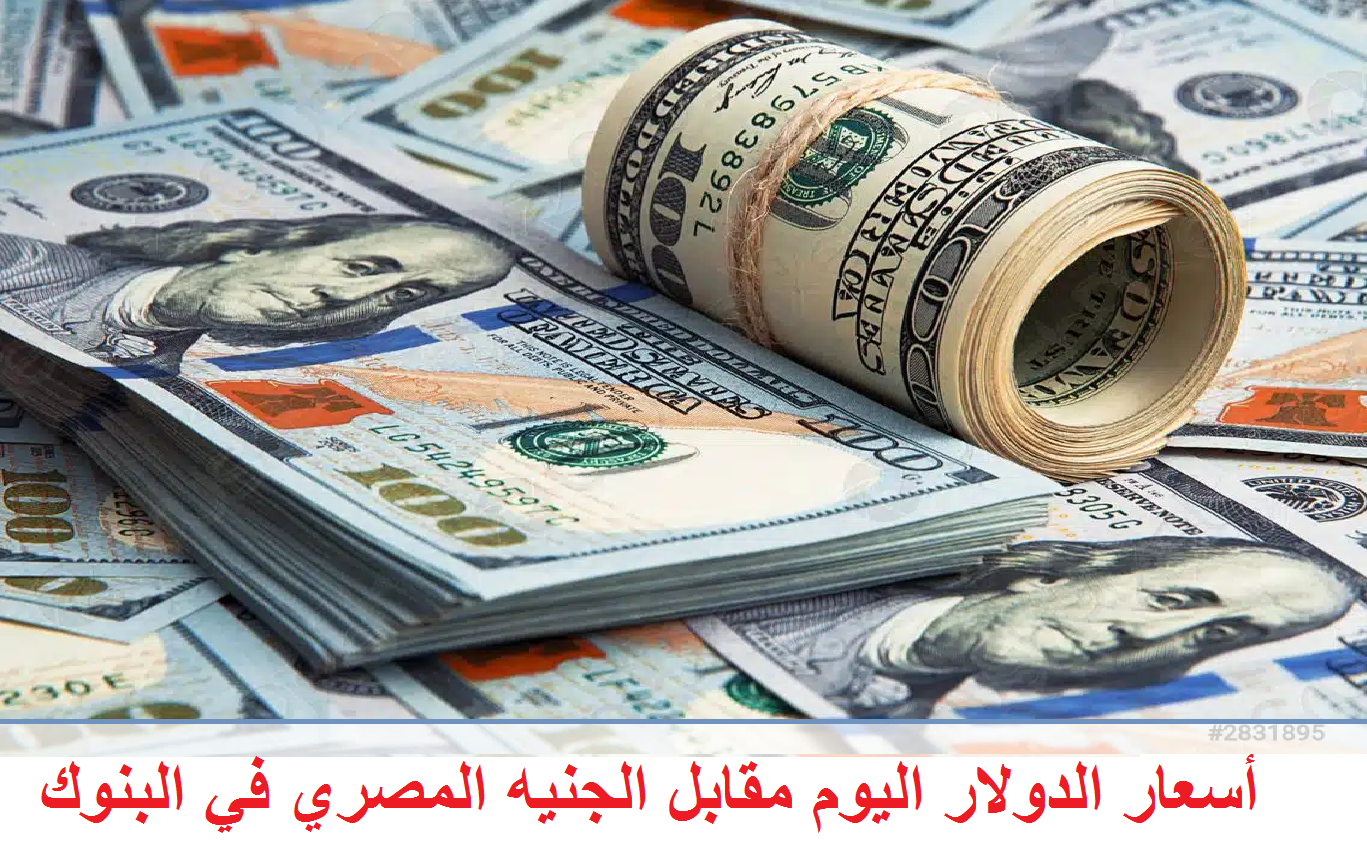 أسعار الدولار اليوم الثلاثاء 2 /7 /2024 مقابل الجنيه في البنوك المصرية