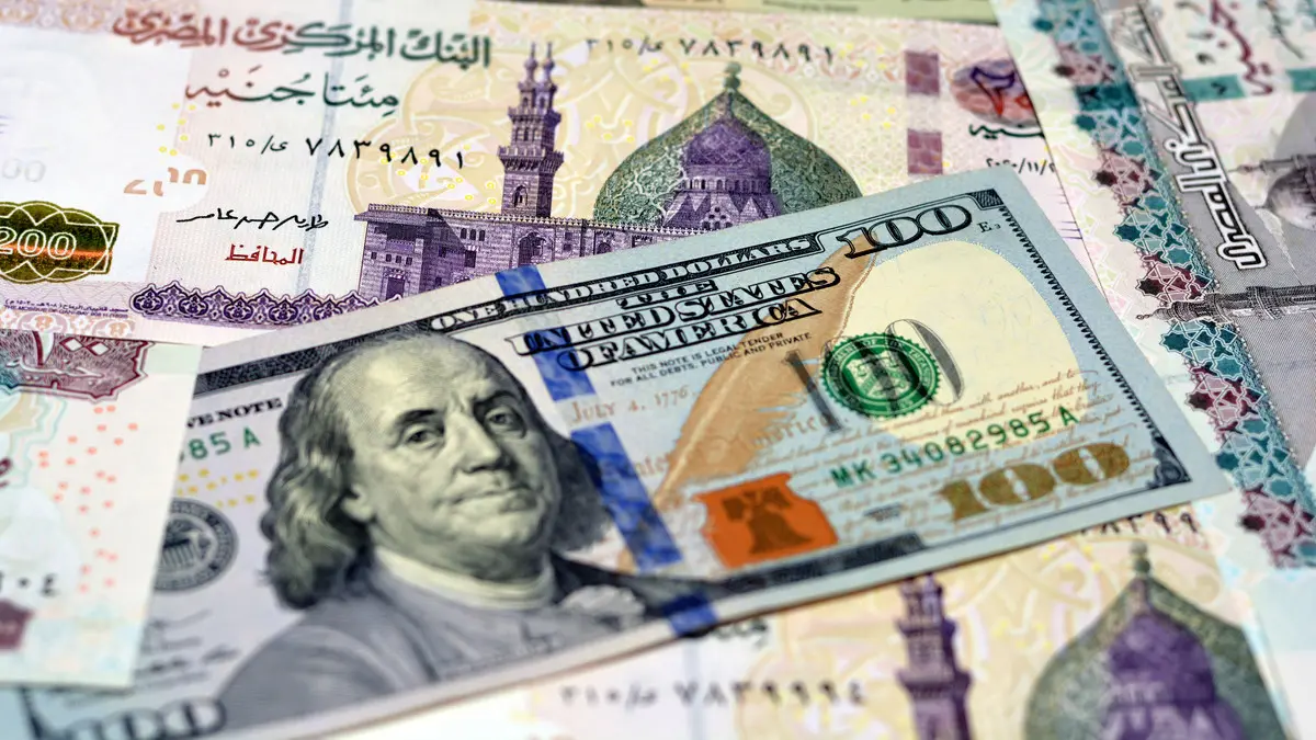 “استقرار الدولار”.. تعرف على أسعار صرف الدولار اليوم الأحد 21 يوليو في مختلف البنوك المصرية