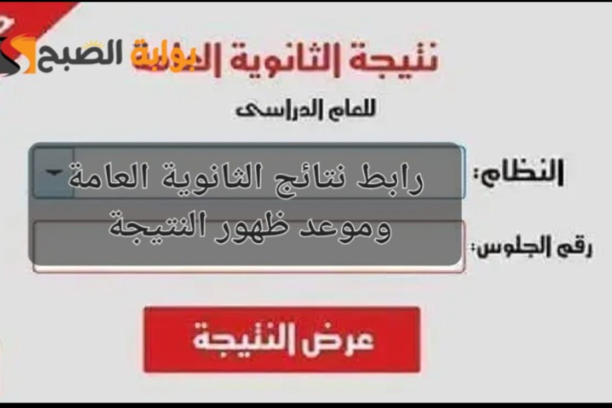 “علمي وأدبي” نتيجة الثانوية العامة في مصر 2024 برقم الجلوس moe.gov.eg عبر الموقع الرسمي لوزارة التربية والتعليم
