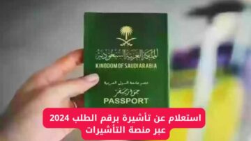 كيفية الاستعلام عن تأشيرة برقم الطلب لعام 2024 والشروط المطلوبة لاستخراجها