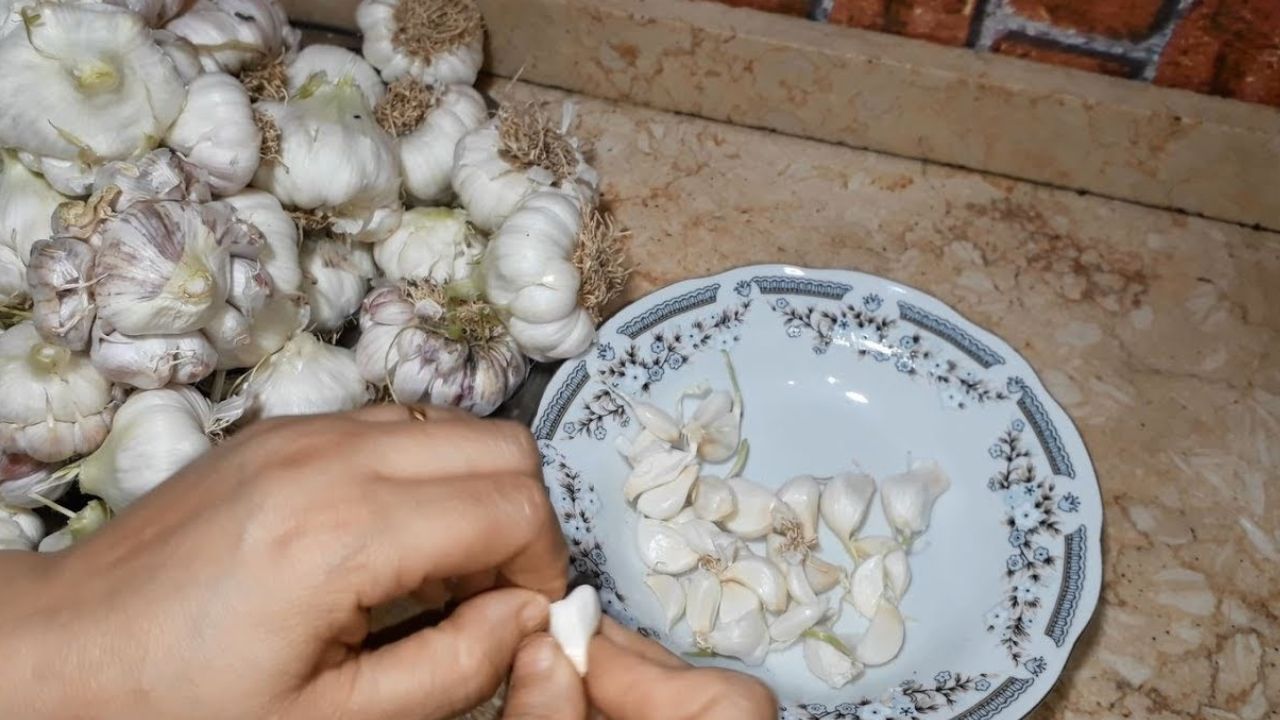 أسهل طريقه لتقشير الثوم في البيت بـ 3 وصفات هتخليكي تقشري الثوم أسرع من الطريقة التقليدية الي بتاخد ساعات