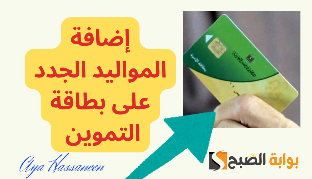 بالخطوات…إضافة المواليد الجدد على بطاقة التموين 2024