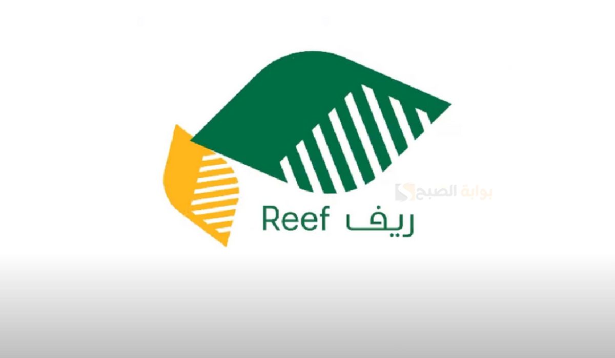 كم اعلى دعم في ريف وأبرز العوامل المؤثرة