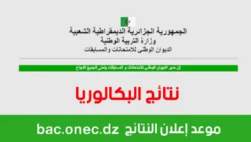 العد التنازلي لنتائج البكالوريا الجزائر 2024 موعد الإعلان المتوقع عبر bac.onec.dz