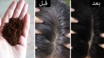 ساعة واحده يختفي الشيب.. تلوين الشعر في البيت بدون كوافير بطريقة طبيعية هتغيري لونه