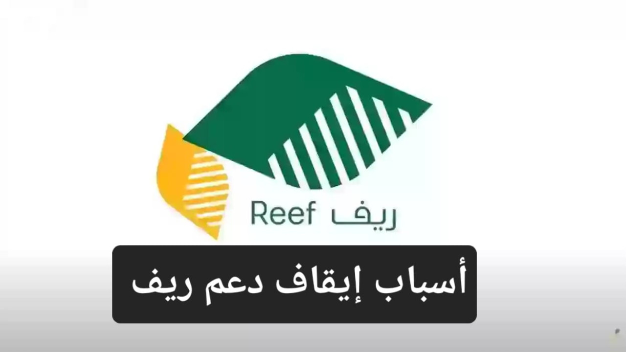 هاام.. ما هي حالات ايقاف دعم ريف بشكل نهائي.. وزارة البيئة توضح